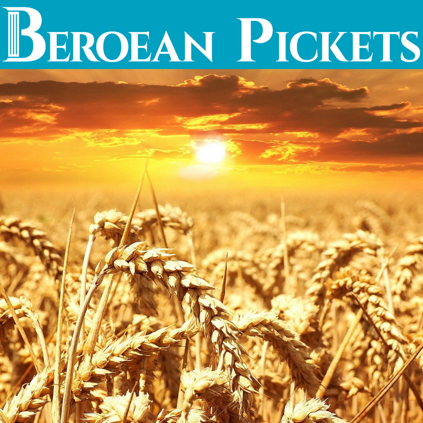 Pickets Beroean - Người đánh giá JW.org